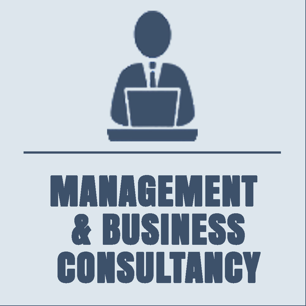 MANAGEMENT AND BUSINESS CONSULTANCY